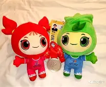 玩加电竞-柔道小组赛上演强强对话，粤西貔貅队强势反弹川蜀灰熊队，团队配合流畅；重拾自信的夜晚的简单介绍